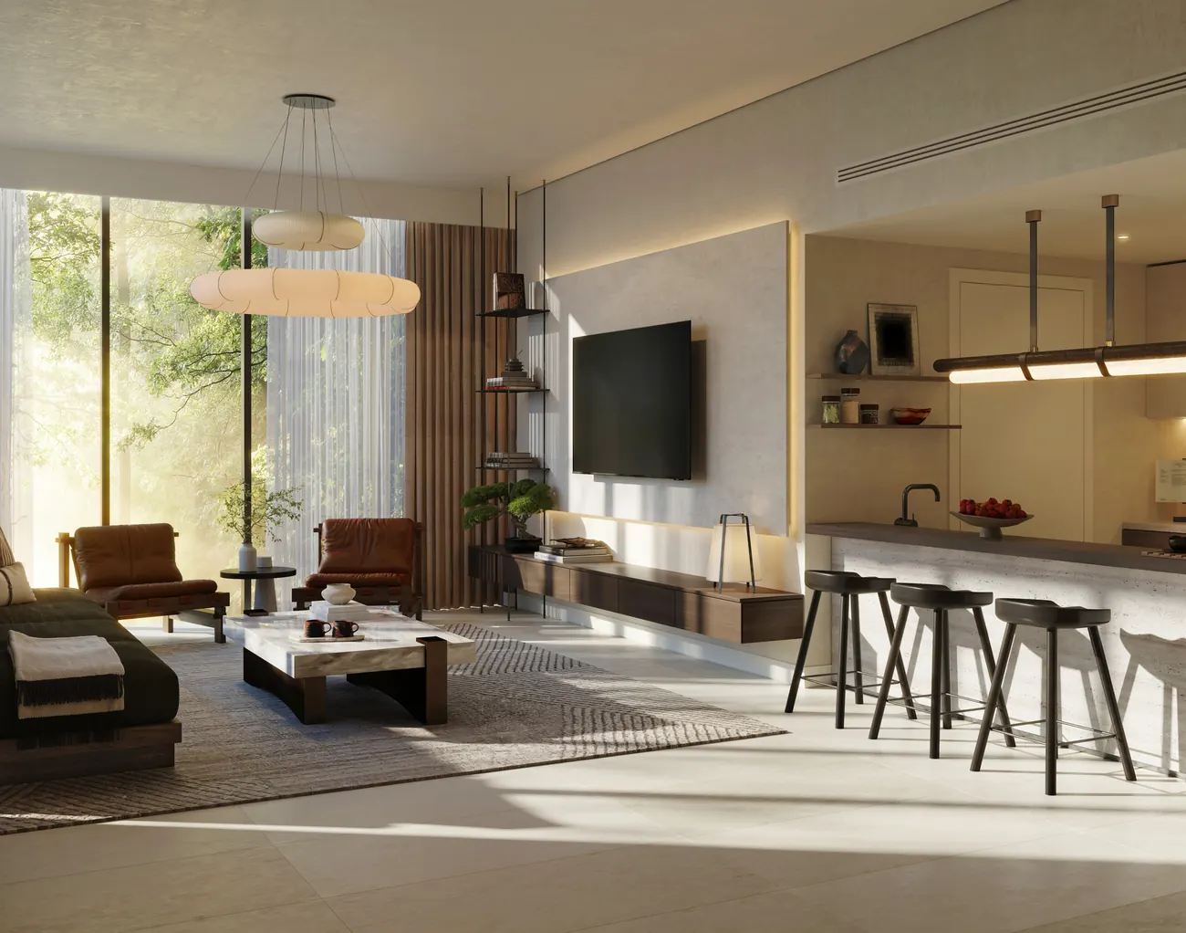 Apartment living area